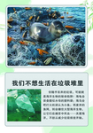科普 展板 海洋动物海洋生物