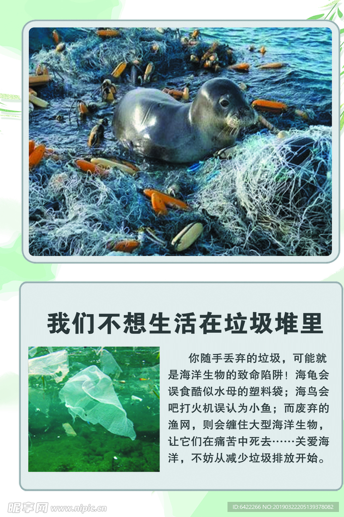 科普 展板 海洋动物海洋生物