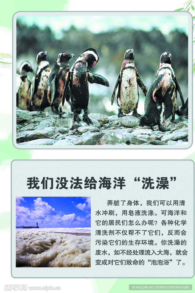 科普 展板 海洋动物海洋生物