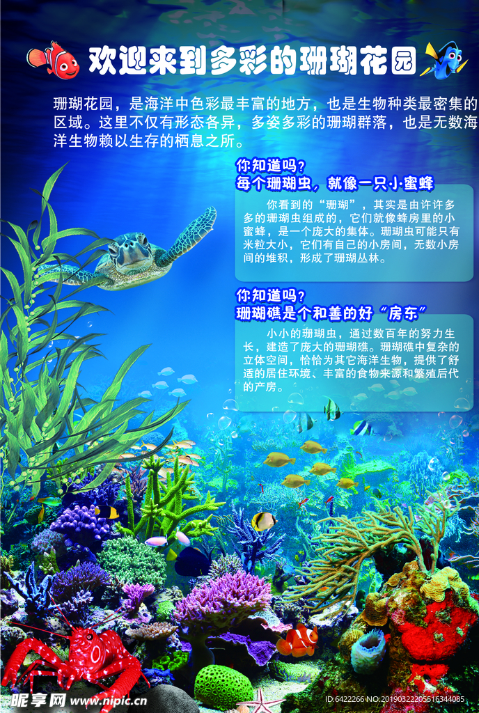 科普 展板 海洋动物海洋生物