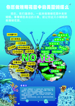 科普 展板 海洋动物海洋生物