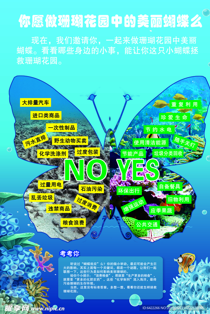 科普 展板 海洋动物海洋生物