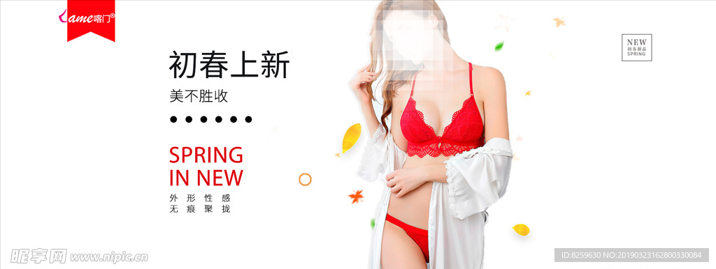 内衣轮换图海报