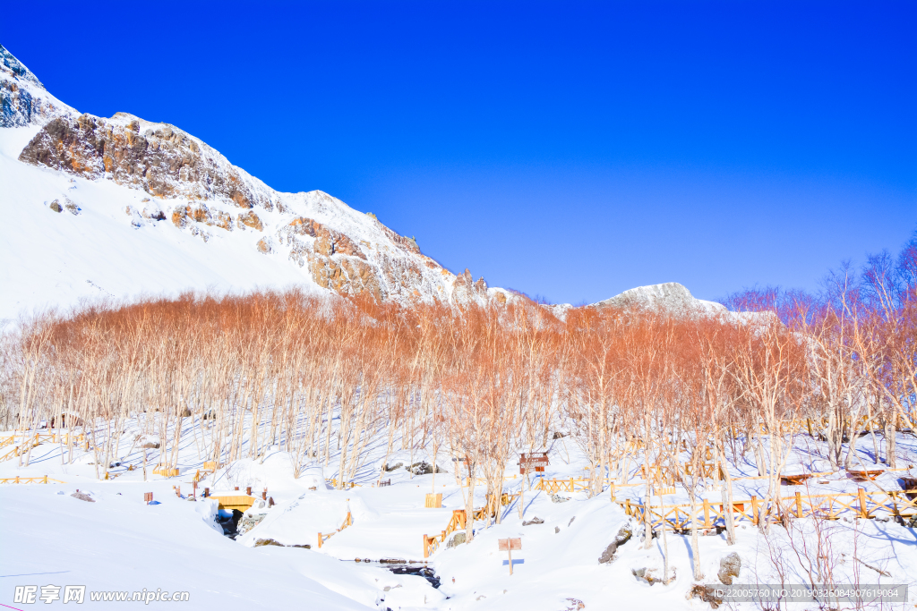 吉林长白山自然景观