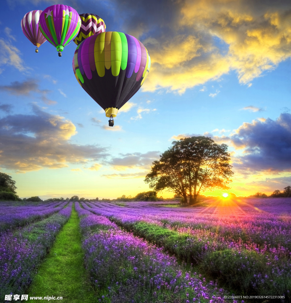 薰衣草地摄影风景