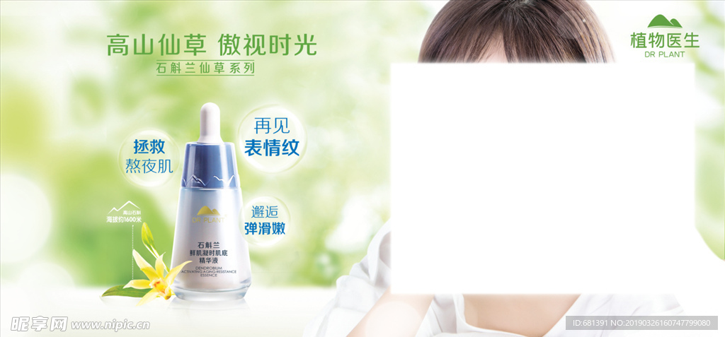 植物医生 石斛兰