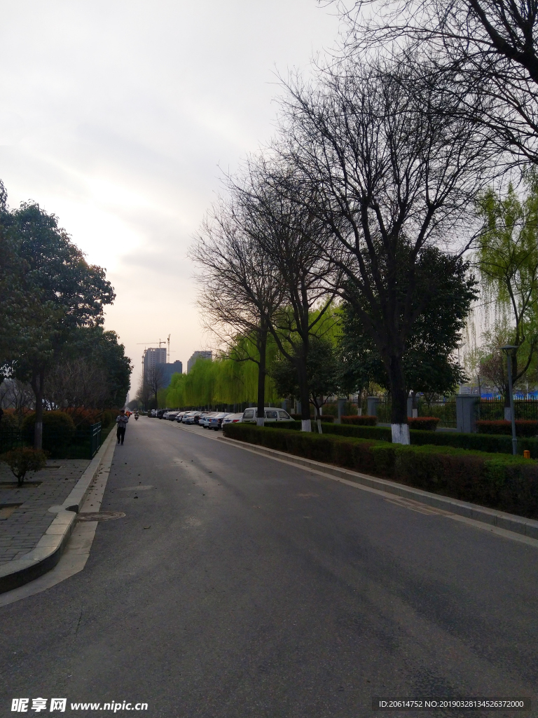 日暮下的道路风景