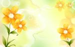 黄色花朵背景墙