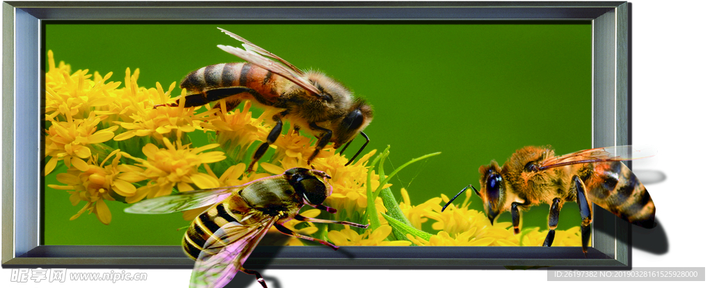 3D立体画，蜜蜂