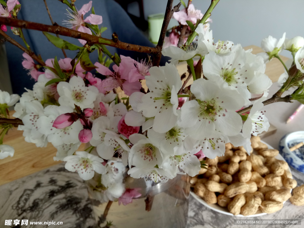 梨花  桃花    花卉