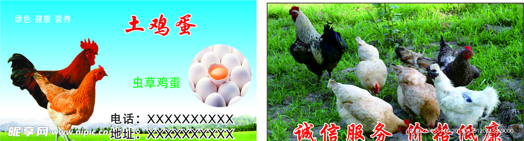 土鸡蛋名片