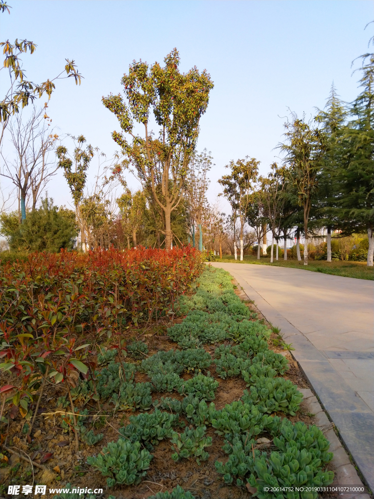 美丽的公园风景