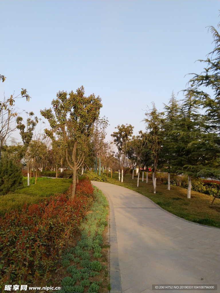 夕阳下的公园风景