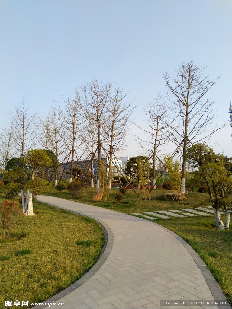 美丽的公园风景