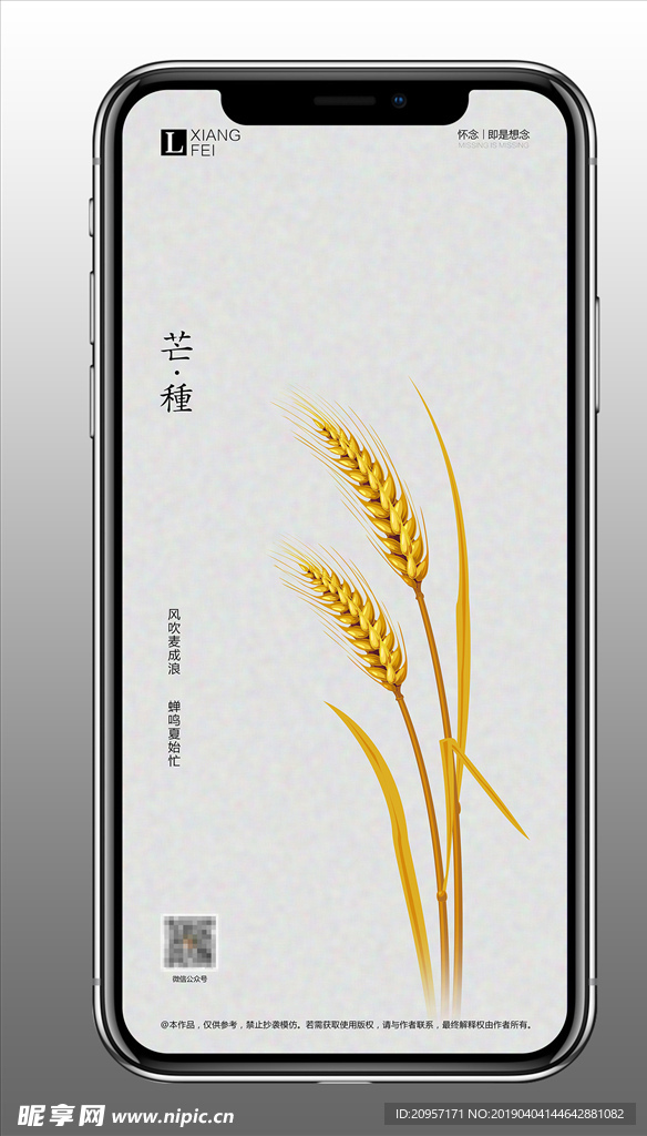 简约风海报芒种