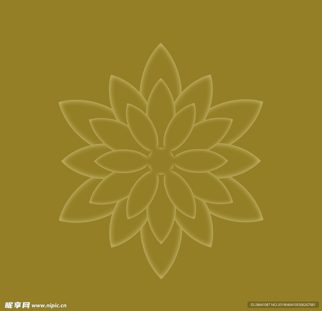 花朵 植物 大丽花