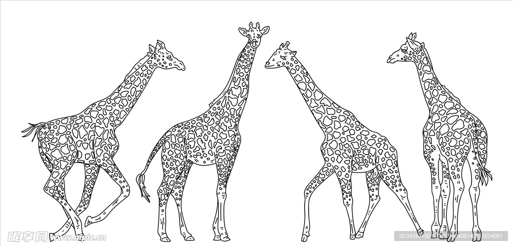 矢量长颈鹿