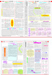 报纸 校报 校刊