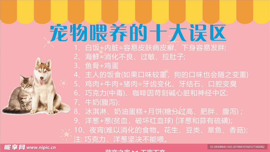 宠物喂养十大误区