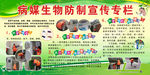 病媒生物防治宣传展板
