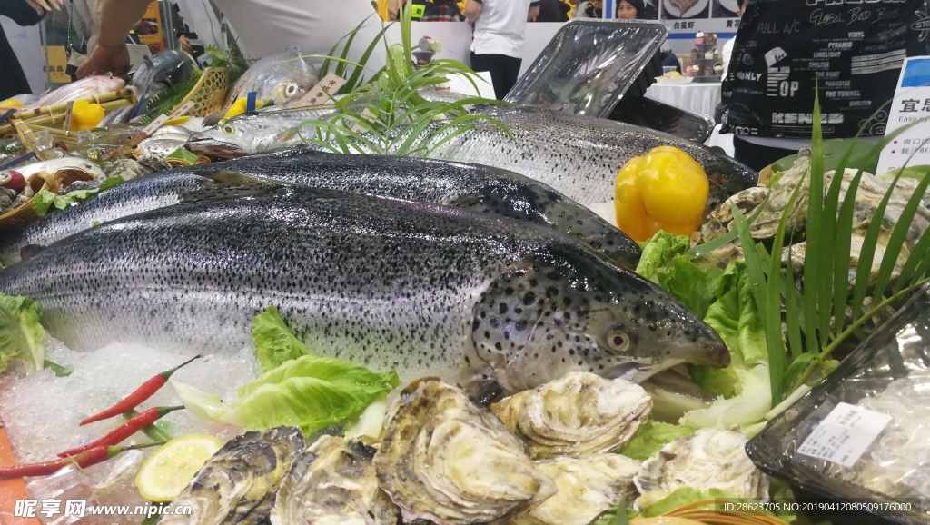 海鲜 食材 海鱼 鱼类 海虾