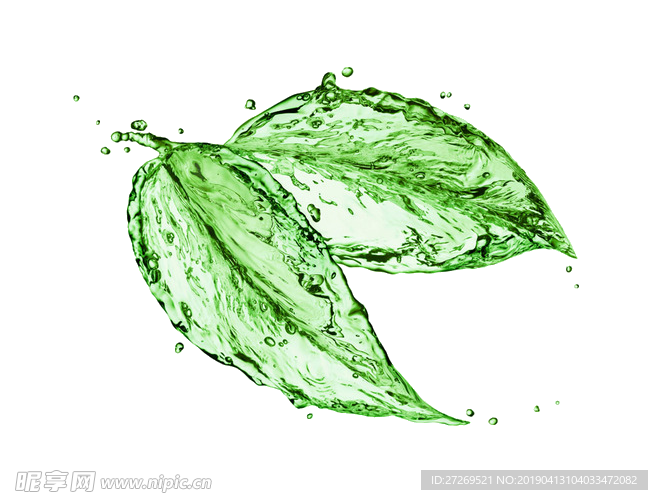 水花绿叶元素658x500