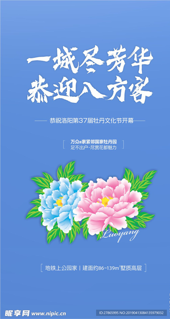 微单 海报 牡丹花 花 地产