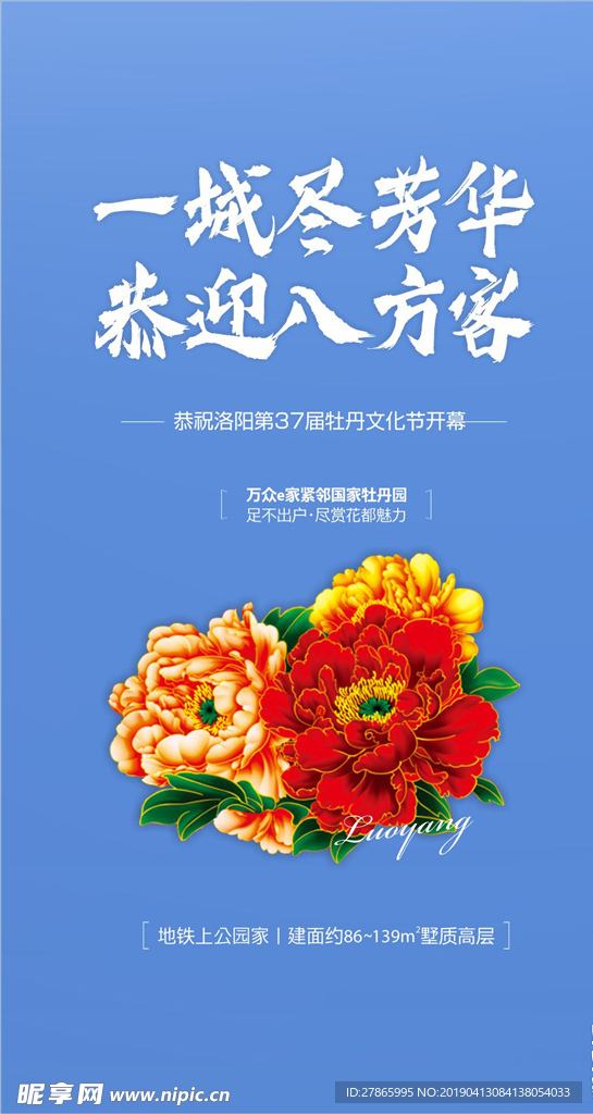 微单 海报 牡丹花 花 地产