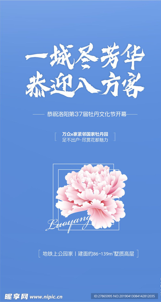 微单 海报 牡丹花 花 地产