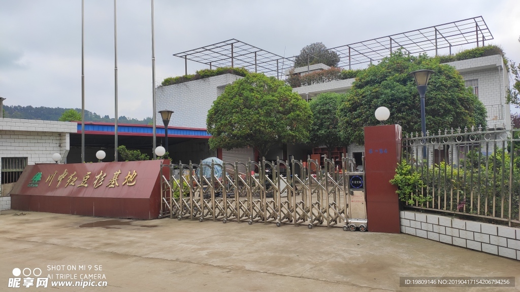 川中红豆杉基地