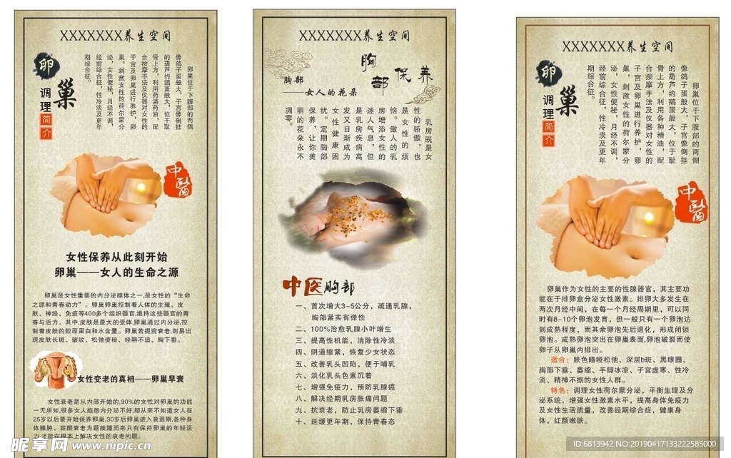 胸部保养  卵巢 展架