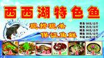 特色鱼