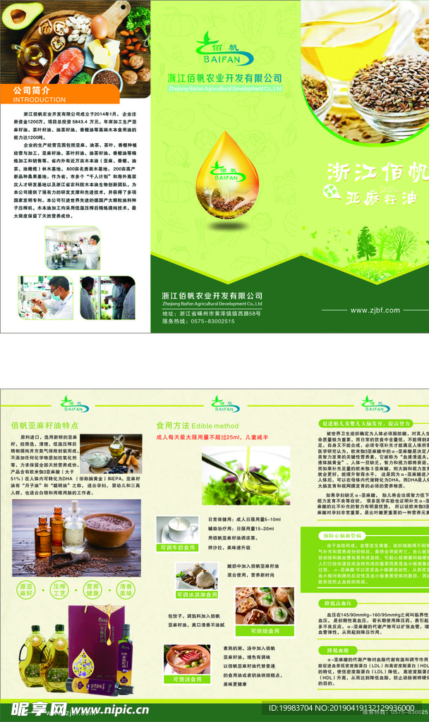 茶叶籽油三折页