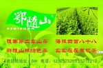 茶叶 鄂随山