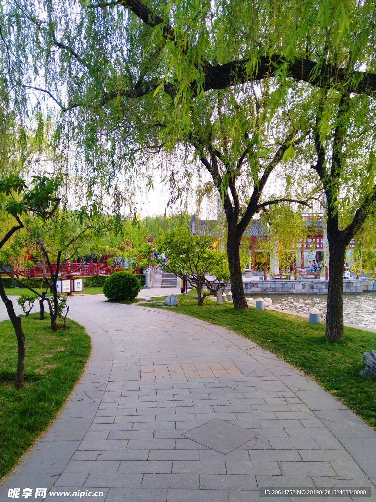 美丽的公园风景