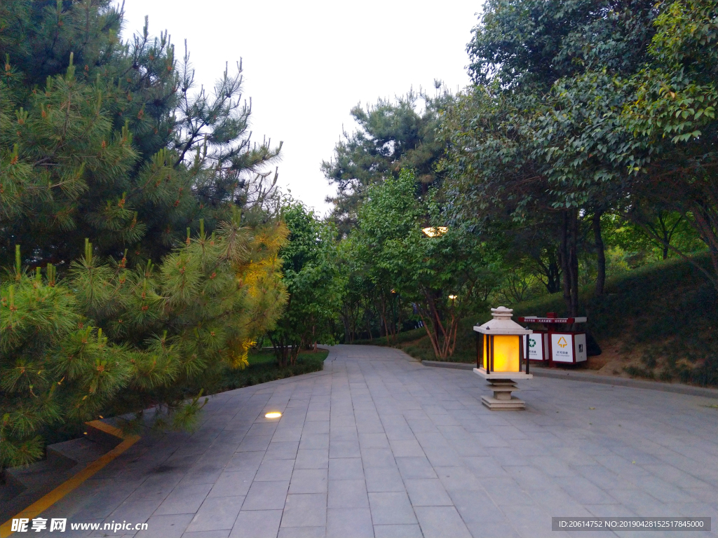 美丽的公园风景