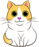 可爱胖猫咪