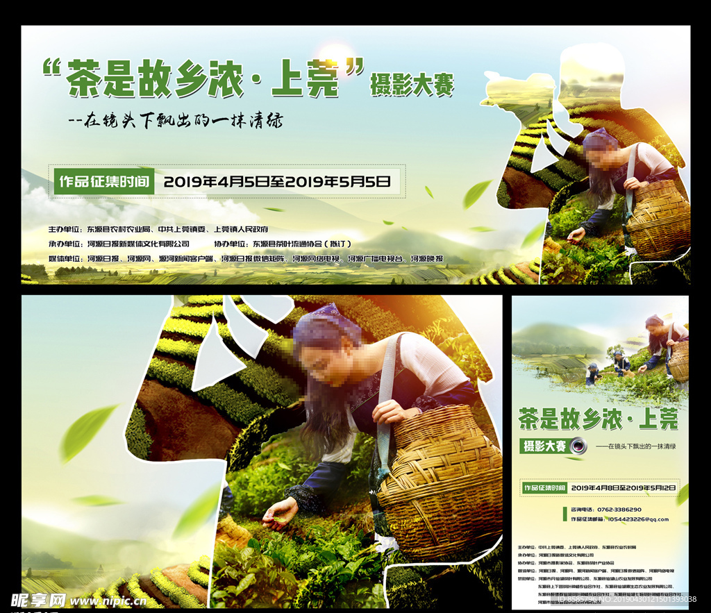 茶山茶叶摄影大赛