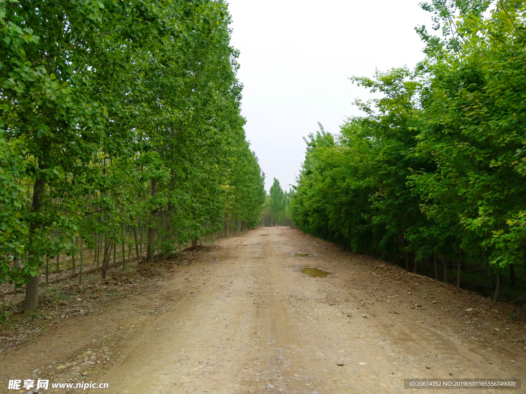 宽阔的田间道路