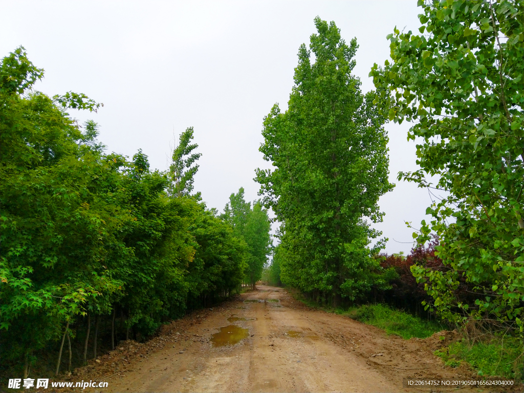 美丽的乡土风景