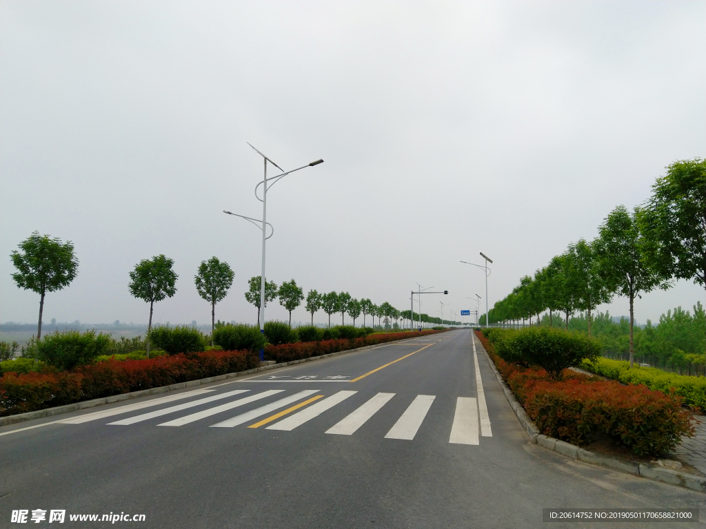 美丽的道路风景