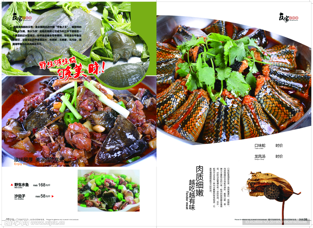 野生水鱼 沙别子 甲鱼