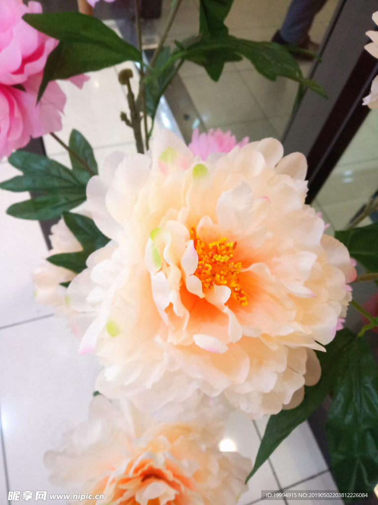 塑料牡丹花摄影图片