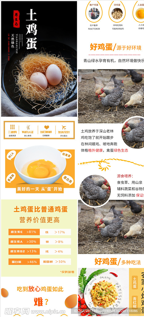 土鸡蛋详情页鸡蛋淘宝