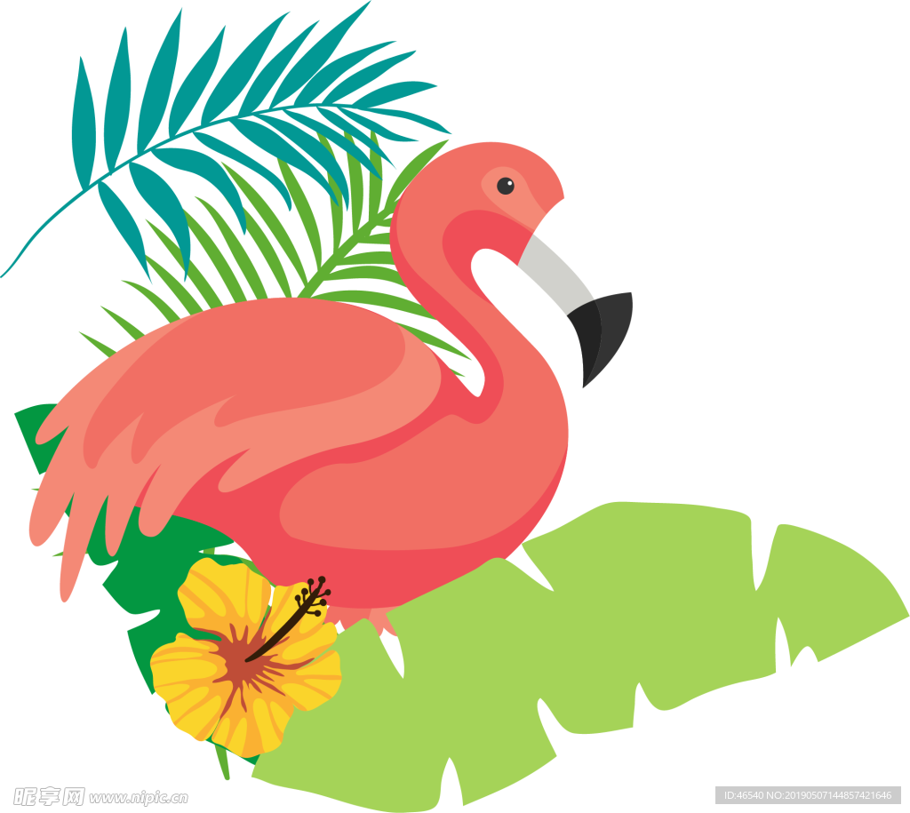 椰子叶子 芭蕉叶 夏日树叶 森