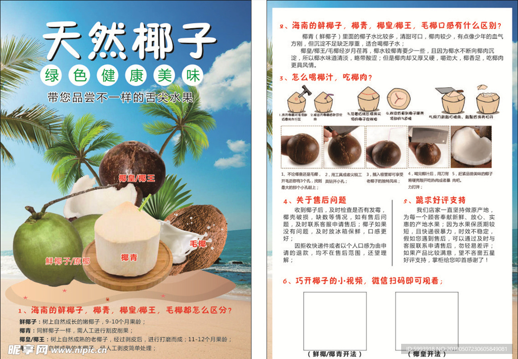 椰子宣传单海报