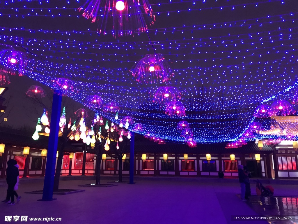 西安2019灯展 灯会  天灯