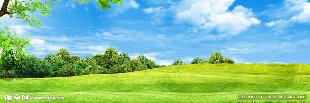 蓝天绿地背景