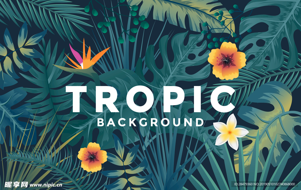 浓郁墨绿色热带丛林植物背景