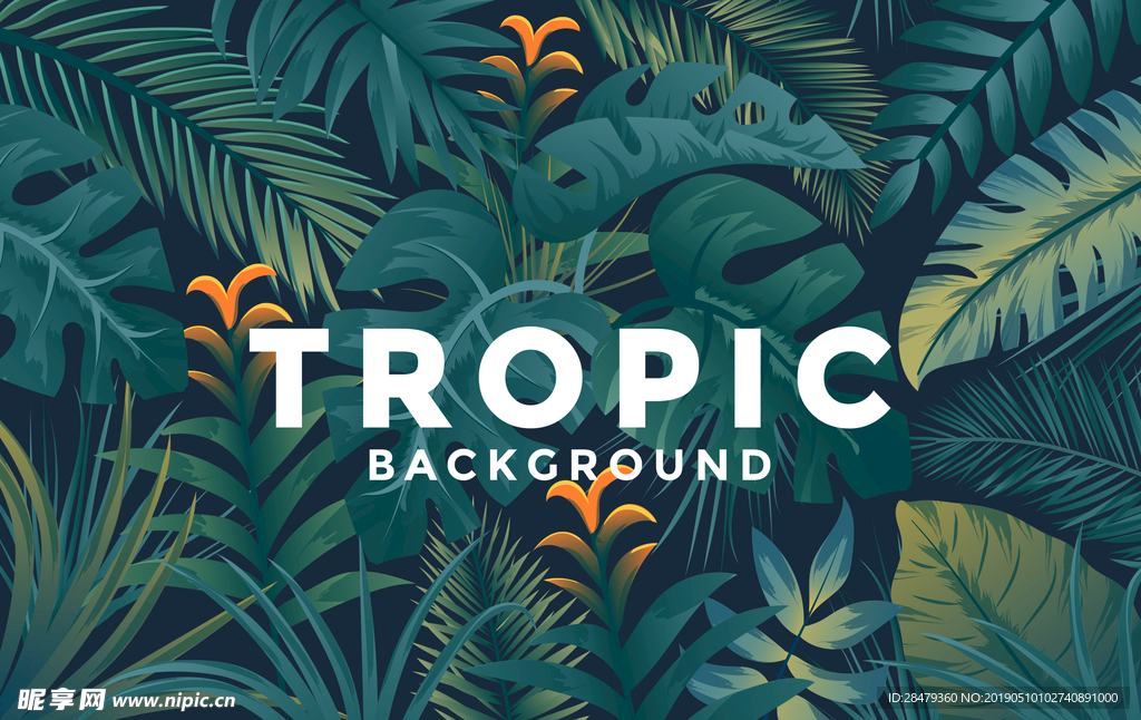 浓郁墨绿色热带丛林植物背景